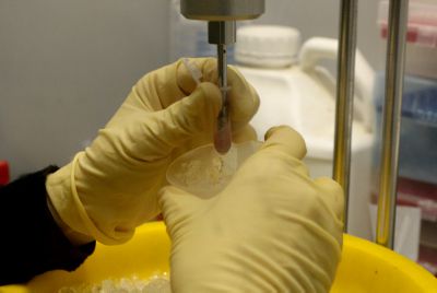 תעשיית ילדים יתומים: מה עם טובת הילד?