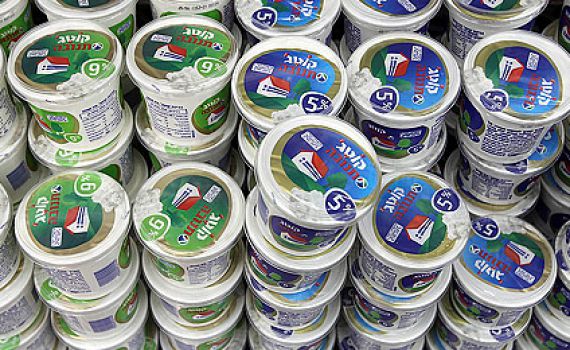 בלי מחאה: מחירי הגבינות והקוטג' יורדים