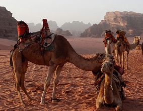 בדרך לתפילה בקבר אהרן: צעיר יהודי התמוטט בירדן
