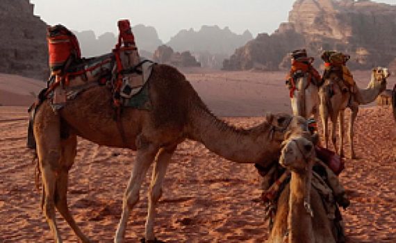 בדרך לתפילה בקבר אהרן: צעיר יהודי התמוטט בירדן