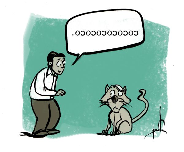 קריקטורה: בעקבות השתלחות ש"ס בכיפות הסרוגות