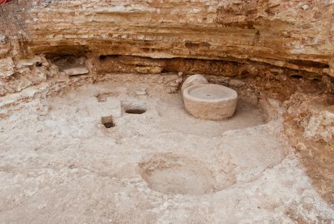 מערת בית בד עתיקה נמצאה בחצר של מכון לב