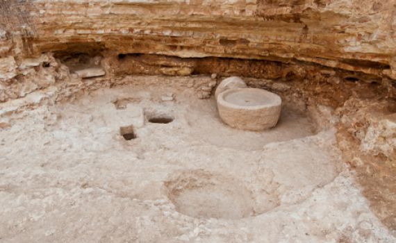 מערת בית בד עתיקה נמצאה בחצר של מכון לב