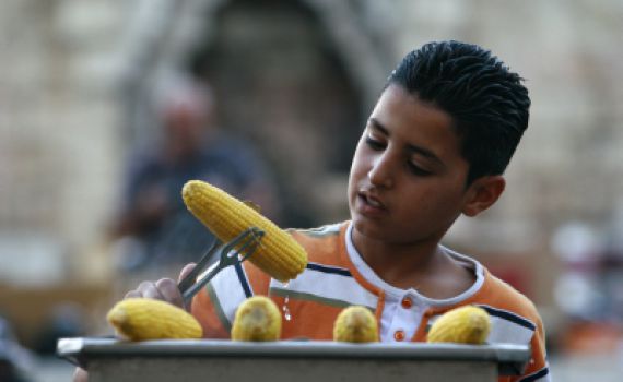 יוצאים לטייל? קבלו תשע עצות ודגשים לגבי כשרויות