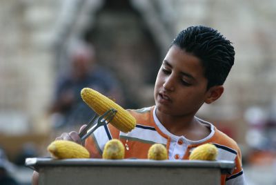 יוצאים לטייל? קבלו תשע עצות ודגשים לגבי כשרויות