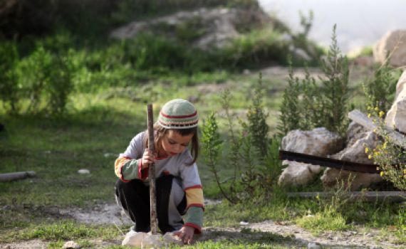נתונים מפתיעים: השומרון – הגזרה הרגועה ביותר ביו"ש