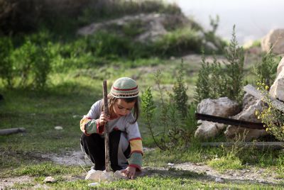 נתונים מפתיעים: השומרון – הגזרה הרגועה ביותר ביו"ש