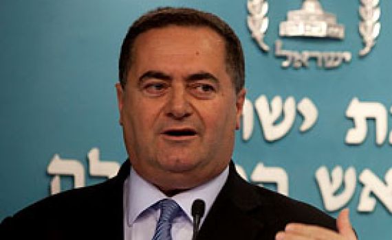 כץ: נתניהו העניש אותי כי הצבעתי נגד שחרור אסירים