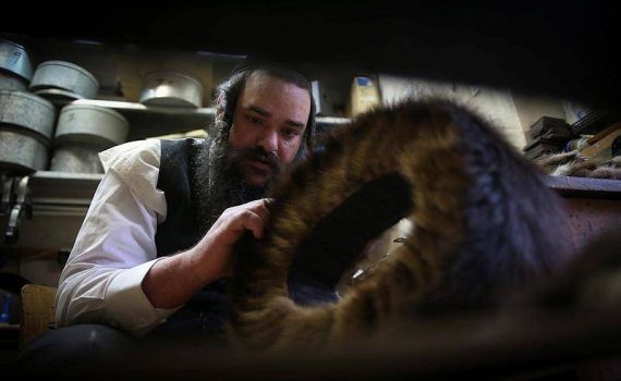 הקץ לפרוות: החרדים רוצים לעבור לשטריימל סינטטי