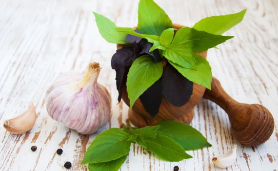 מעשנים ואוכלים שום? הסיכוי לסרטן יורד משמעותית