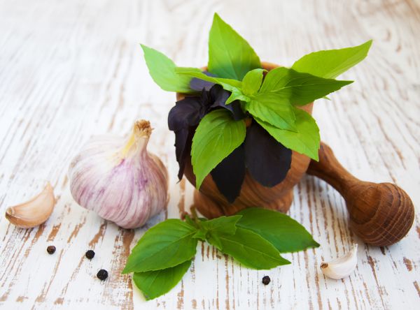 מעשנים ואוכלים שום? הסיכוי לסרטן יורד משמעותית