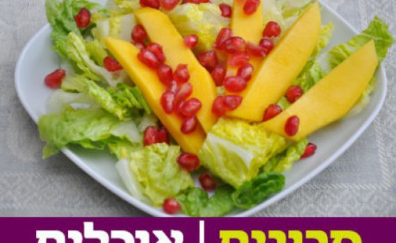 מרענן: מתכון לסלט חסה עם מנגו וחמוציות