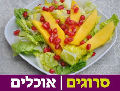 מרענן: מתכון לסלט חסה עם מנגו וחמוציות