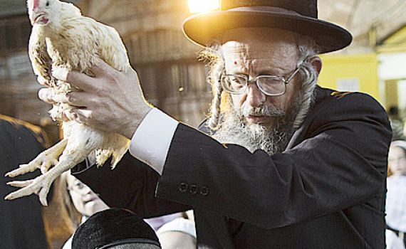 זה התרנגול ילך למיתה: צפו בכפרות בירושלים