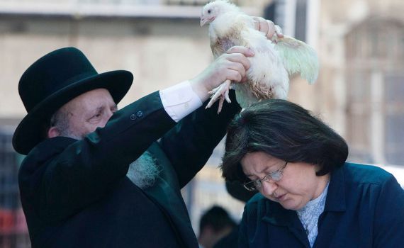 פרץ על המכפרים בתרנגולים: אסור שהתופעה תימשך