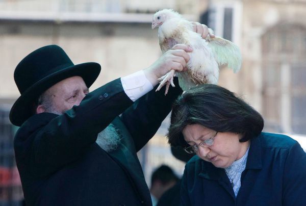 פרץ על המכפרים בתרנגולים: אסור שהתופעה תימשך