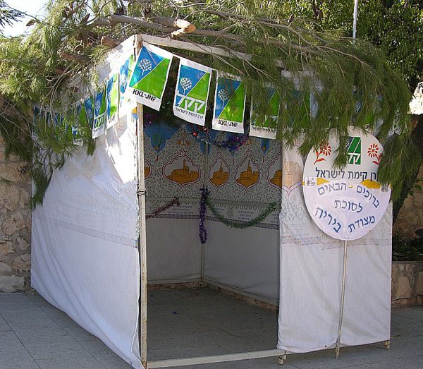 קרן קימת לישראל הקימה סוכות כשרות ביערות