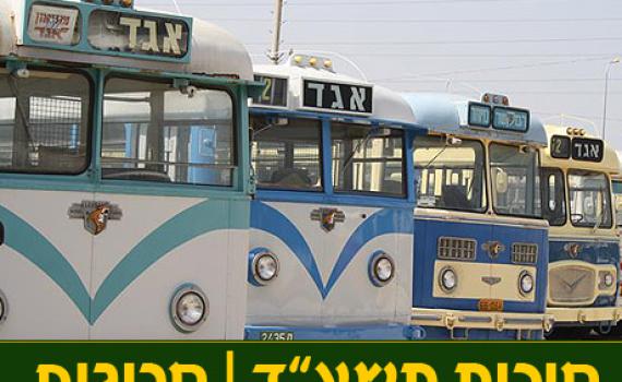 חול המועד סוכות: מדריך הטיולים והאטרקציות