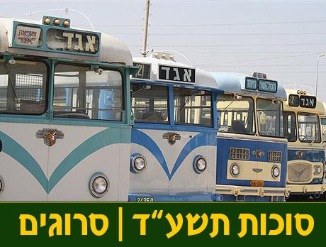 חול המועד סוכות: מדריך הטיולים והאטרקציות