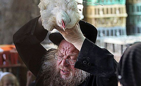 הרב אפרתי: "מי שטוען לאכזריות בכפרות – מוציא לעז"