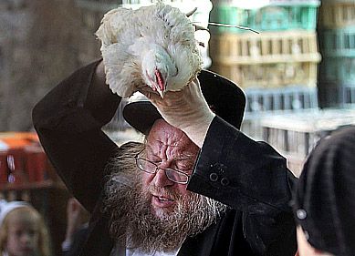 הרב אפרתי: "מי שטוען לאכזריות בכפרות – מוציא לעז"