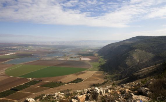 ערב ראש השנה אוכלוסיית ישראל: 8.081 מיליון נפש