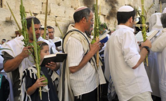 לא צריך יבוא: 700 אלף לולבים תוצרת הארץ