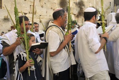 לא צריך יבוא: 700 אלף לולבים תוצרת הארץ