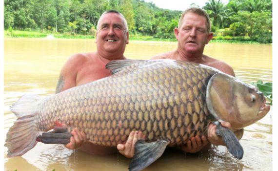 הפתעה בחכה: דג קרפיון עצום במשקל 60 ק"ג