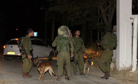 הטרור הפלסטיני נמשך: אל"מ במיל' שריה עופר (יא יא) הי"ד נרצח בבקעה בנשק קר