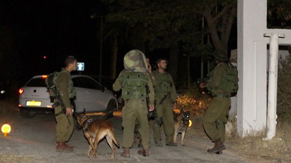 הטרור הפלסטיני נמשך: אל"מ במיל' שריה עופר (יא יא) הי"ד נרצח בבקעה בנשק קר