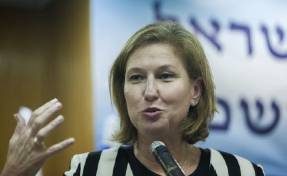 "מי שלא רצה את החוק בממשלה קיבל אותו בכנסת"