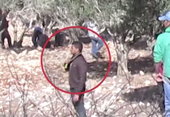 בחסות המסיק: ערבים מסמנים שחיטה; "יהיה כאן רצח כמו של משפחת פוגל"