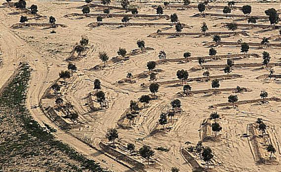 הממשלה אישרה הקמת שני יישובים חדשים בנגב