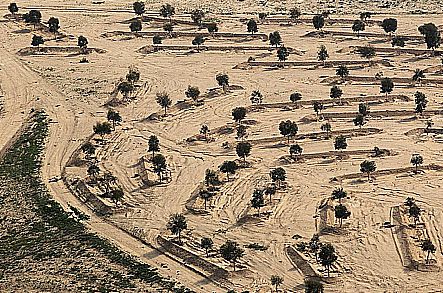 הממשלה אישרה הקמת שני יישובים חדשים בנגב