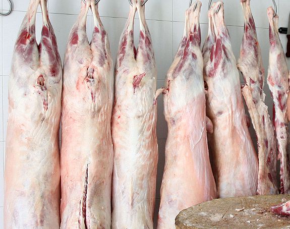 סכנה: 3 טון של בשר ללא פיקוח נמצאו בישראל