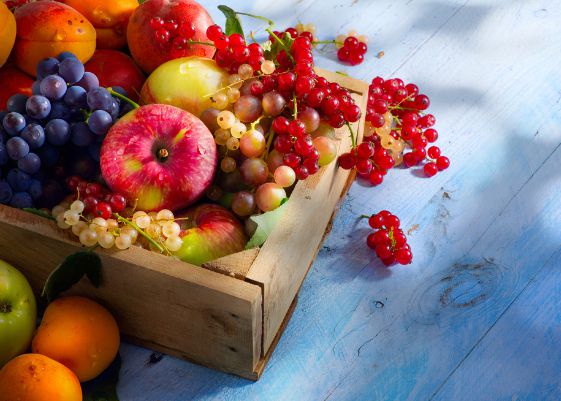 במקום מים: פירות וירקות טעימים ובריאים