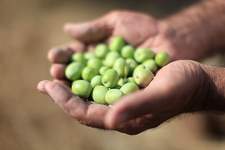 כמה היא באמת המידה "כזית"? צפו בשיעור
