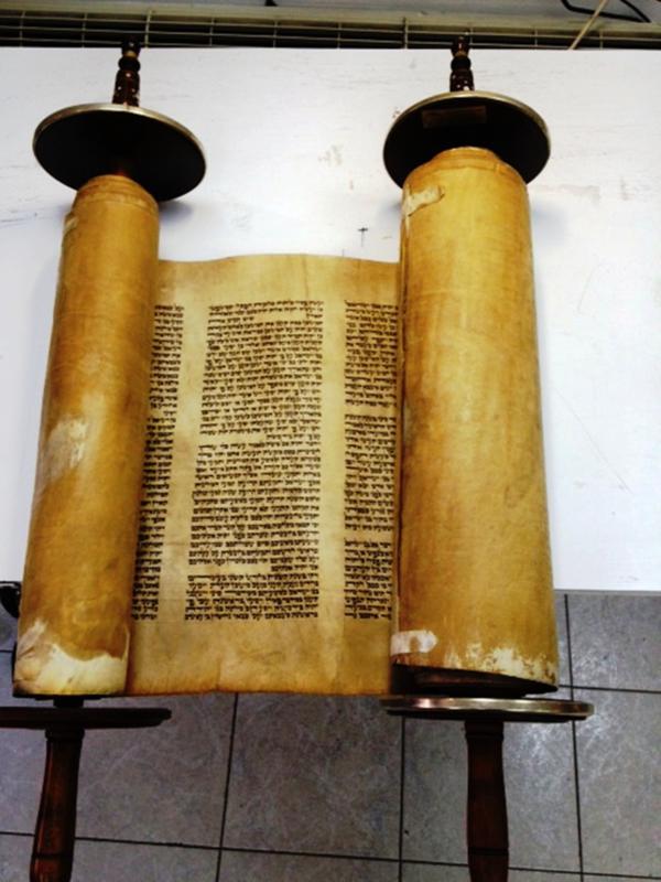 שרד את השואה אך לא את הגירוש