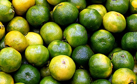 ערלה בפירת חורף: ממה צריך להיזהר?