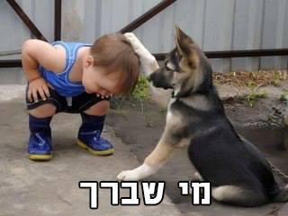 מצעד דוסים מצייצים 50: הממים הכי טובים של השבוע