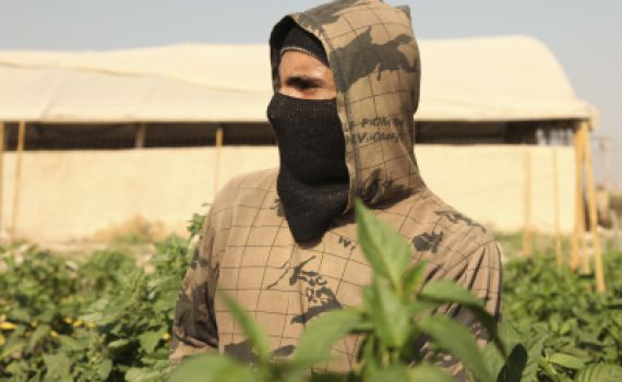 מחמירים את הענישה נגד גנבים בחקלאות