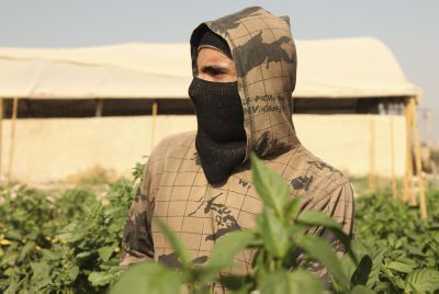 מחמירים את הענישה נגד גנבים בחקלאות