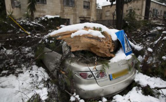 אריה קינג: "ירושלים לא תחזור לשגרה לפני יום רביעי"