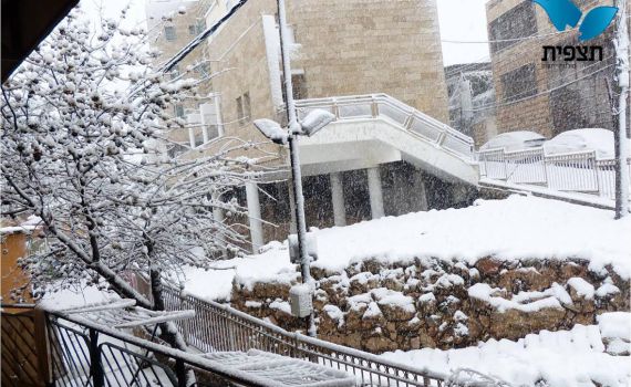 ישראל נצבעת בלבן: צפו בתמונות מהשלג