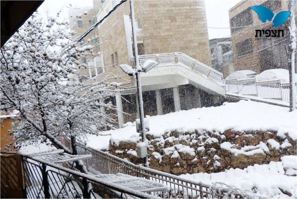 ישראל נצבעת בלבן: צפו בתמונות מהשלג