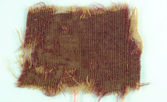 ממש כמו בתורה: נחשפו אריגים שנצבעו בחילזון הארגמן