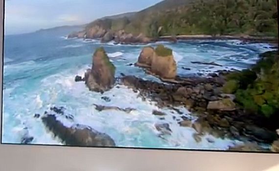 בקרוב בסלון שלכם? מסך 105 אינץ' של LG