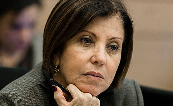 גלאון: תכנית ליברמן – כמו פנטזיות ממשחקי הכס