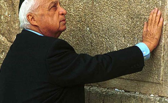 הרופאים למשפחתו של אריק שרון: נותרו לו ימים ספורים